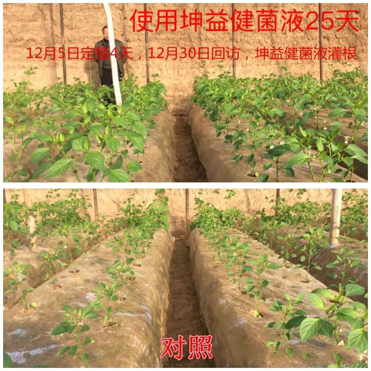 1495249696381476.jpg 33.jpg