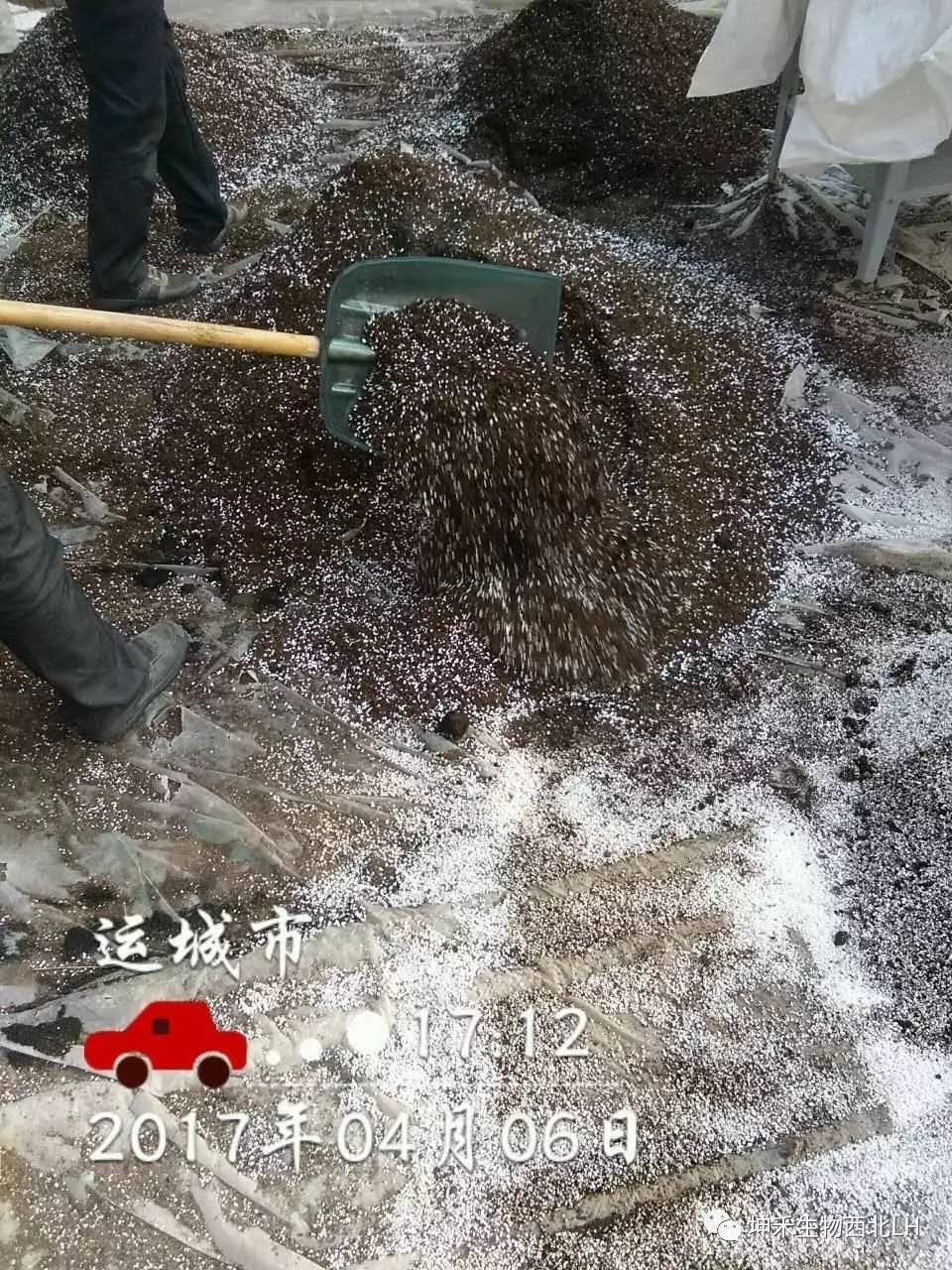 1495276938113689.jpg 微信圖片_20170520184039.jpg