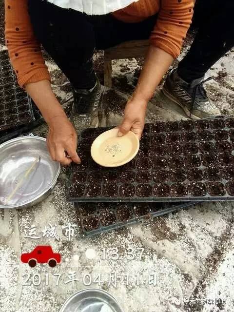 1495276970119576.jpg 微信圖片_20170520184053.jpg