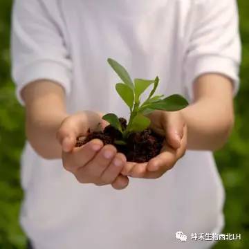 1495277555486087.jpg 微信圖片_20170520185109.jpg