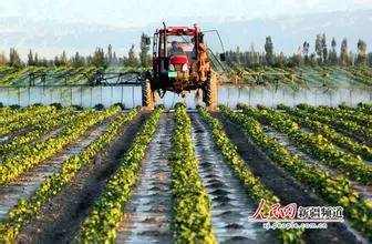 1495340213105513.jpg 微信圖片_20170521121648.jpg