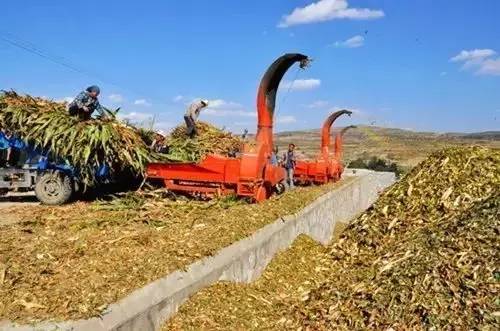 1495344541245926.jpg 微信圖片_20170521132849.jpg