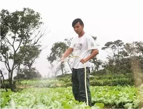 1495345869422916.jpg 微信圖片_20170521135034.jpg