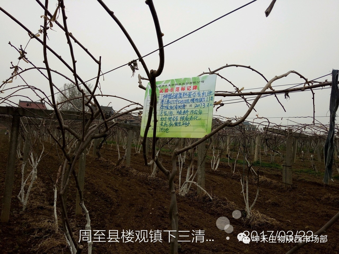 1495693482518102.jpg 微信圖片_20170525142312.jpg