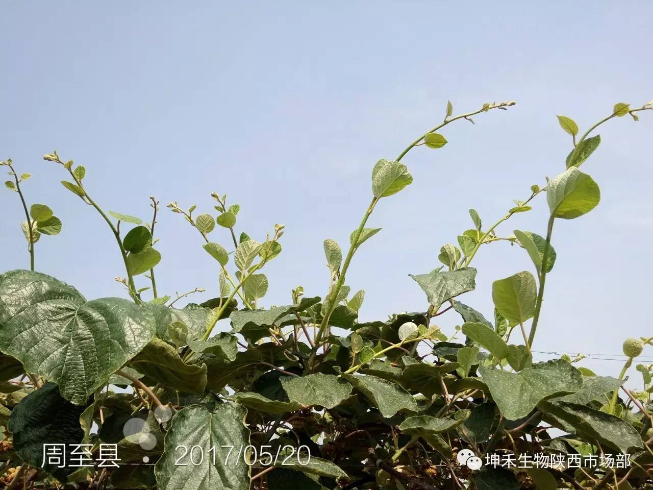 1495693601139913.jpg 微信圖片_20170525142324.jpg