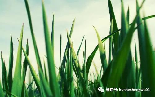 1529738217385435.png 微信圖片_201806231455122.png