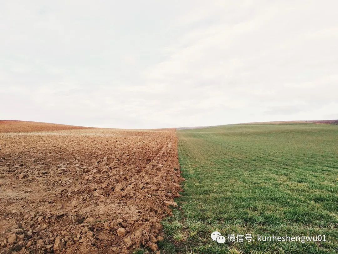 1529738519649220.png 微信圖片_201806231455124.png