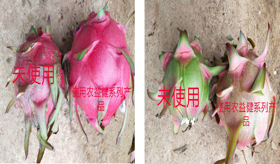 1583129751131415.png 5QIWOYY1{%36BPBMXTC{MFJ.png