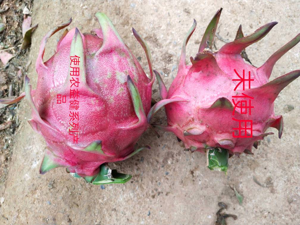 1583129834119821.png LG%FB[QMXBQT6@1TIHM8PI8.png