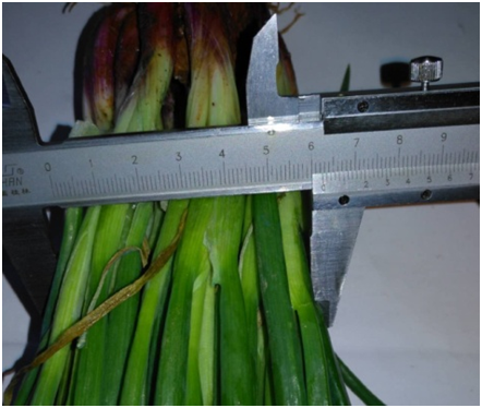 1583134178652976.png RPFV01HW(8E5MVIPK$MRABM.png