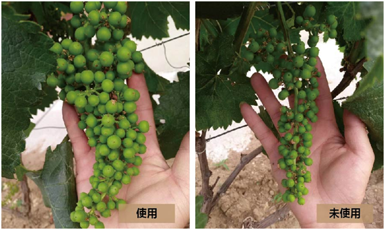 1583135233528689.png N)[U}5FG@X5KB@JU}_X6NL0.png