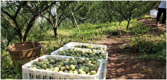 1583208555279299.png 4DU5JRKU%Q4AK0TL05)8M3Q.png