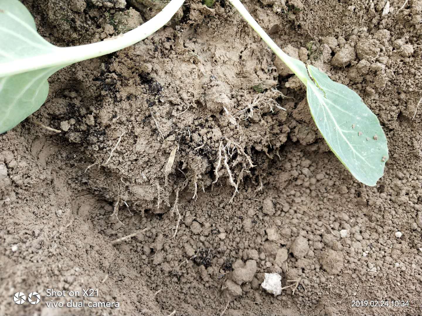 1583209573353818.jpg 微信圖片_201903271608512.jpg