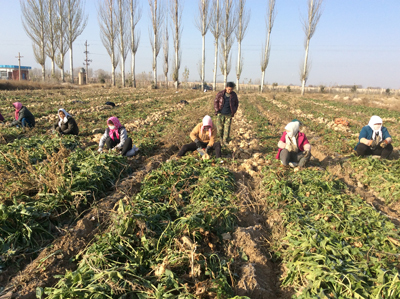 1583212607682138.jpg QQAXRN6QE[B{LN@GQ2{GZWE.jpg