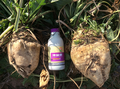 1583212628172036.jpg 2)BEEMWGE}SK_LU)@MY2DP3.jpg