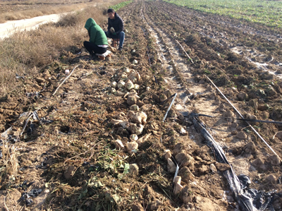 1583213075786259.jpg Y54U4TYZR93{`OV(P}YR~H8.jpg