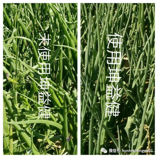 1583213228390295.png XMP`%4L$8{LYJN`D`0E$1B1.png