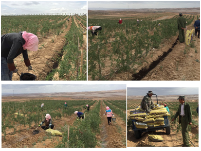 1583213655189693.png D1_C0JSQSHOZMFZXU7(S2RK.png