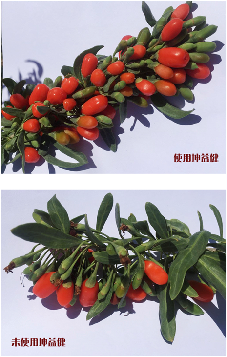 1583213716690126.png 4W[V1H$H)~DA%K4$CHIR%M3.png