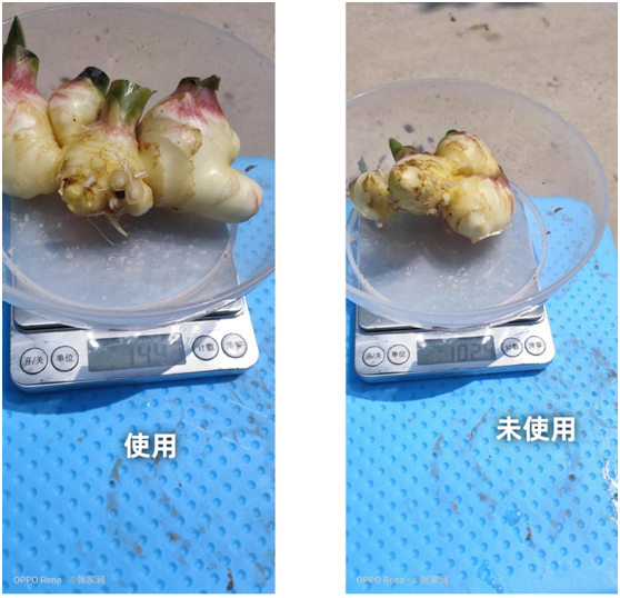 1583217836384380.png 6Q%_KILPZ%K%IMH{I7F%BPE.png