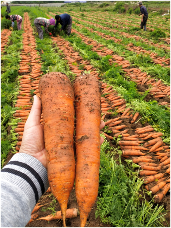 1583219932810418.png [T9_FVX1{{NSU$D)3@ZZC`E.png