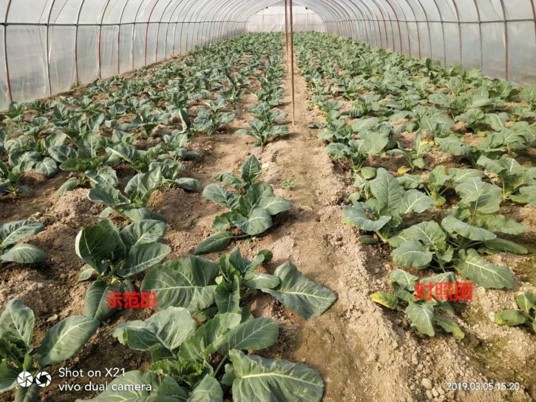 1587956560765257.jpg 微信圖片_20200427110230.jpg