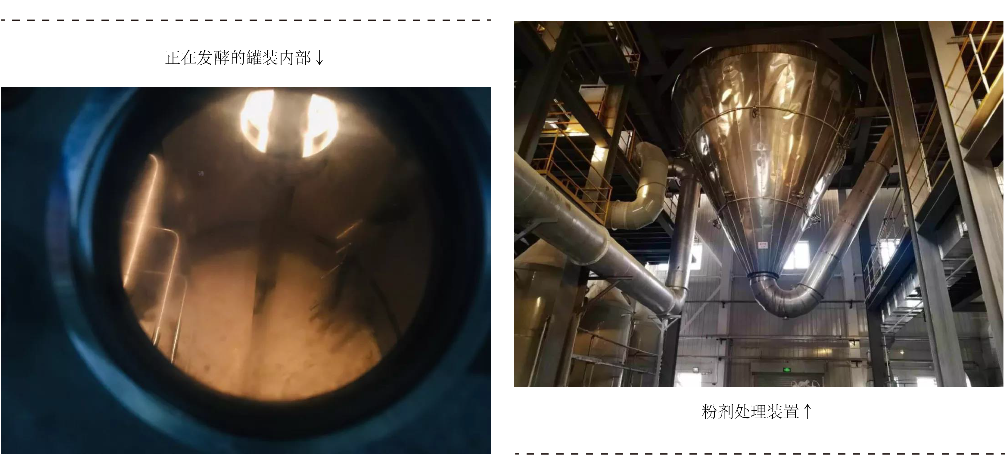 1589160636579341.png 未標題-2-01.png