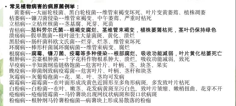 1589161450157592.jpg 微信圖片_20200511093228.jpg