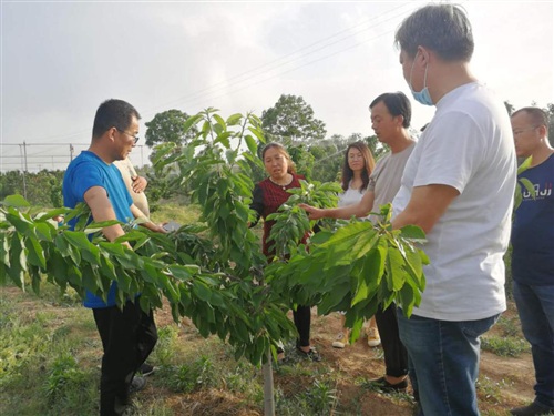 1592279875636323.jpg 微信圖片_20200525104513.jpg