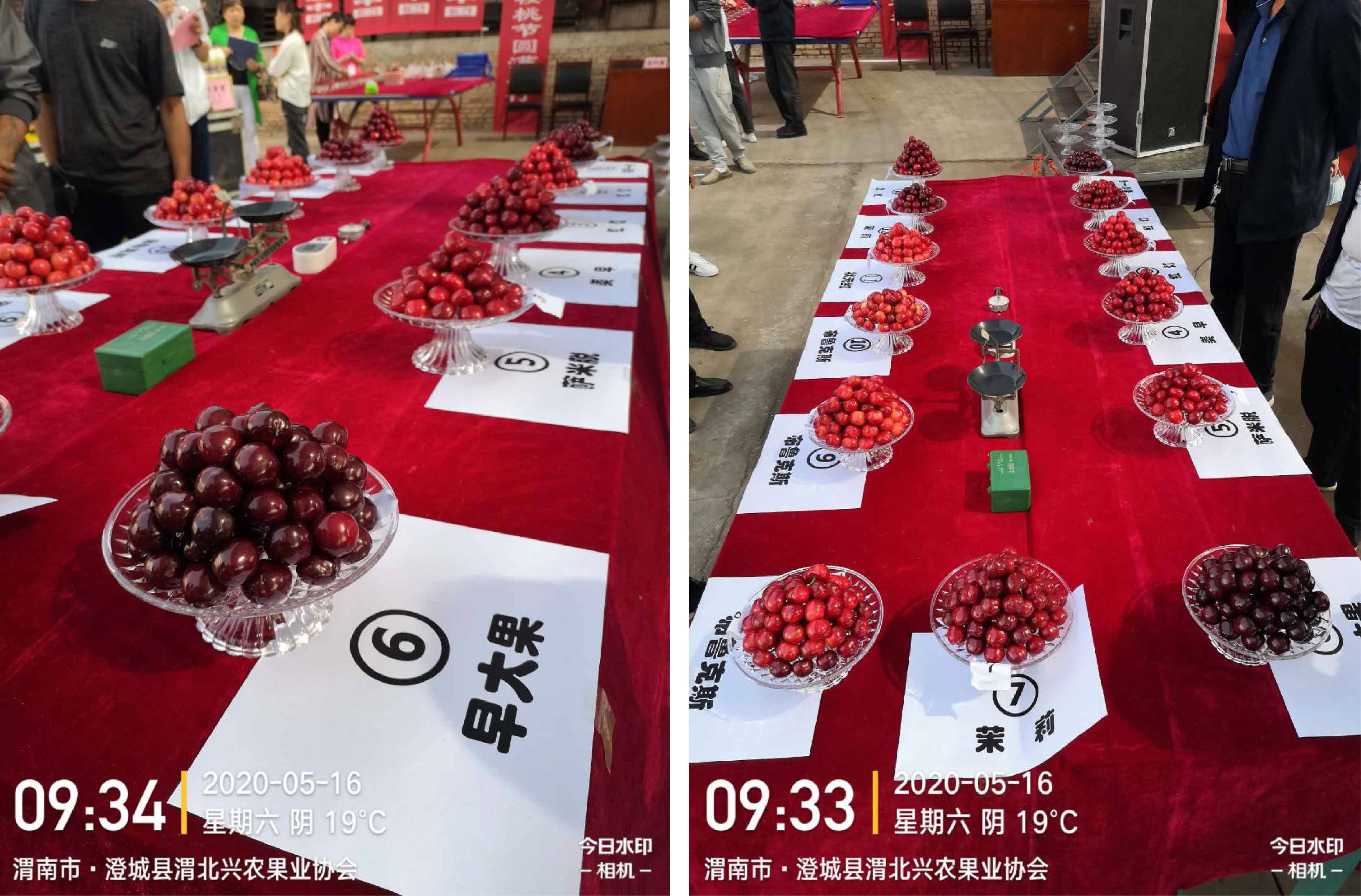 1598420716511191.jpg 未標題-1-01.jpg