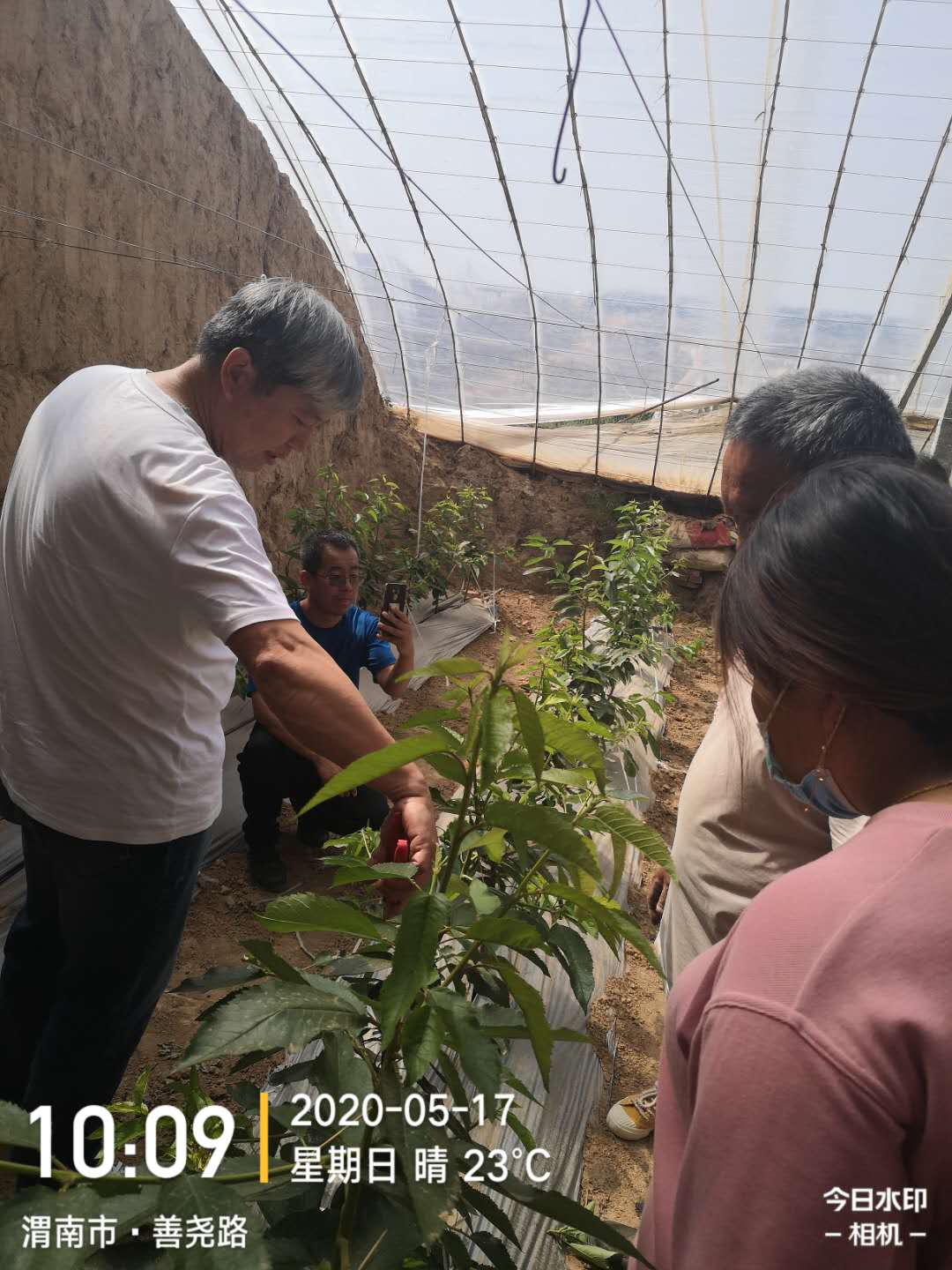 1598420753837548.jpg 萬老師現(xiàn)場培訓農戶1.jpg