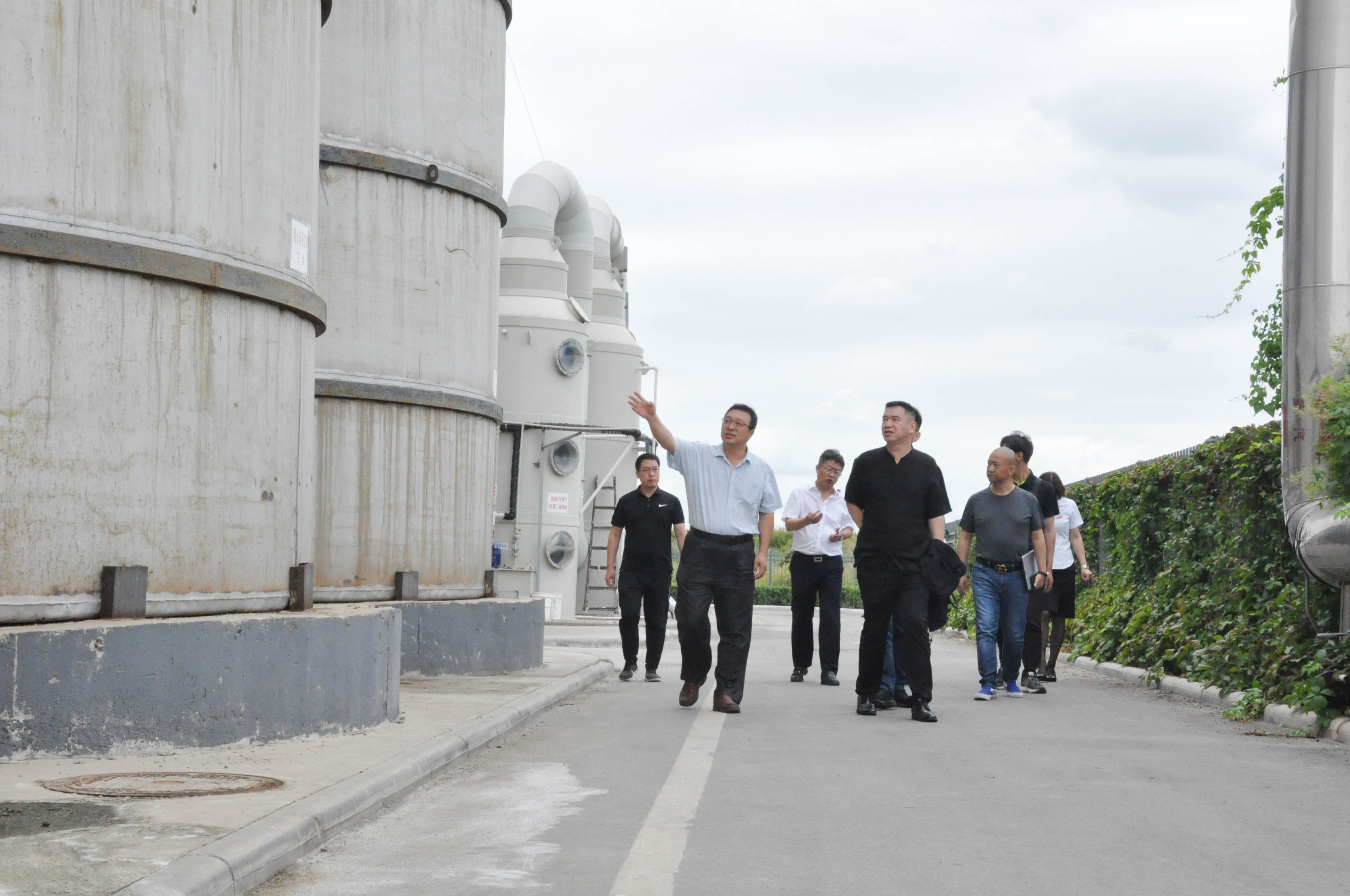 1600417858265516.jpg DSC_0077.JPG