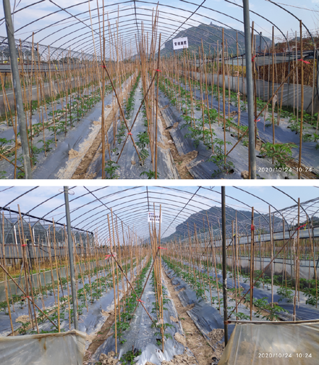 1606440096436755.png 未標(biāo)題-3-01.png