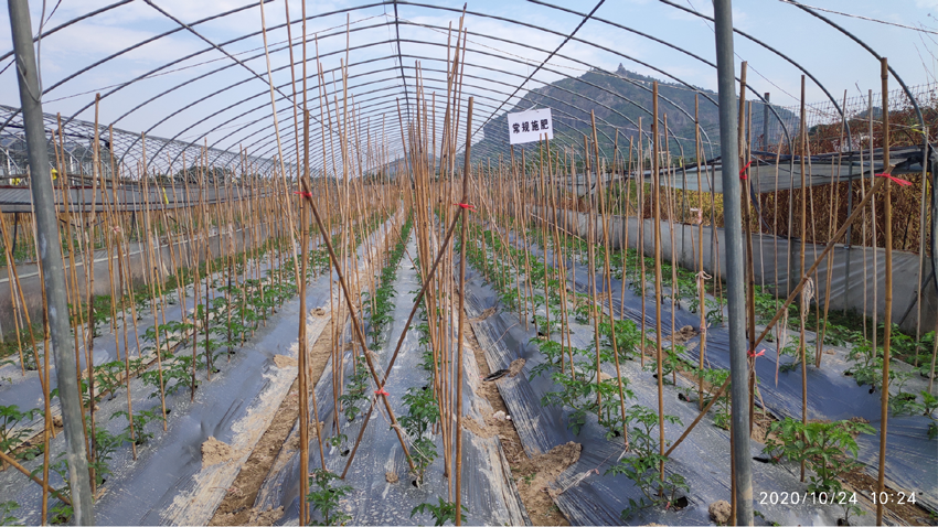 1606440194893072.png 未標(biāo)題-3-常規(guī)-01.png