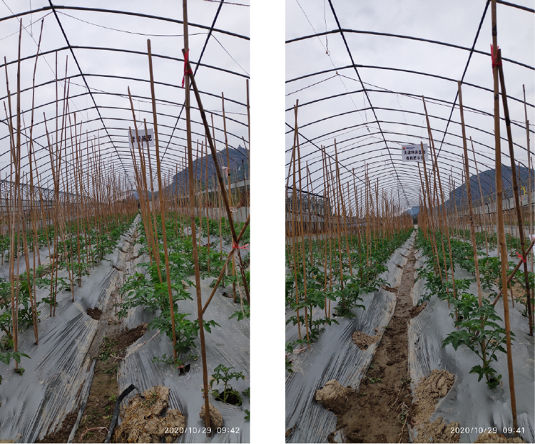 1606440320898419.png 未標(biāo)題-6-01.png