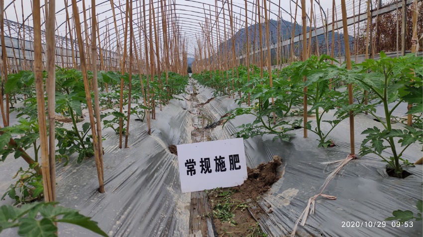 1606440390975605.png changguishifei-01.png