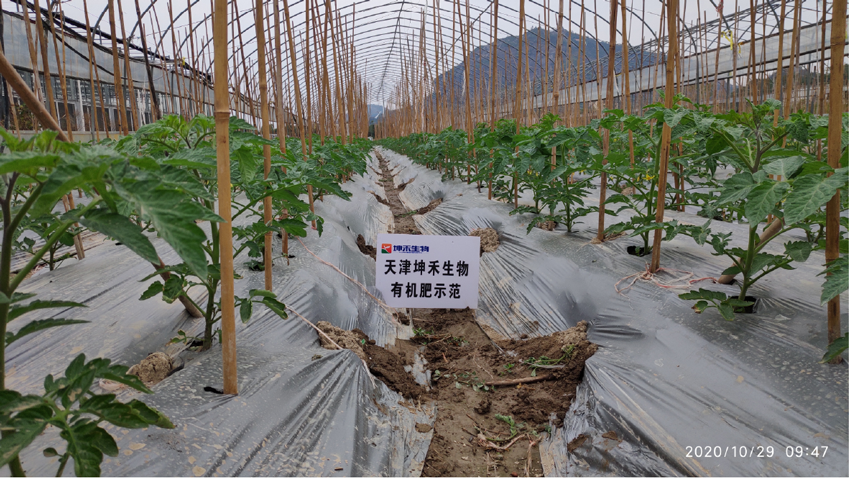 1606440404400790.png kuhe-01.png