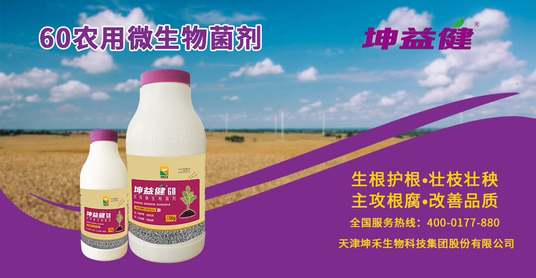 1606441194136747.jpg 坤益健60產(chǎn)品海報(bào)banner.jpg