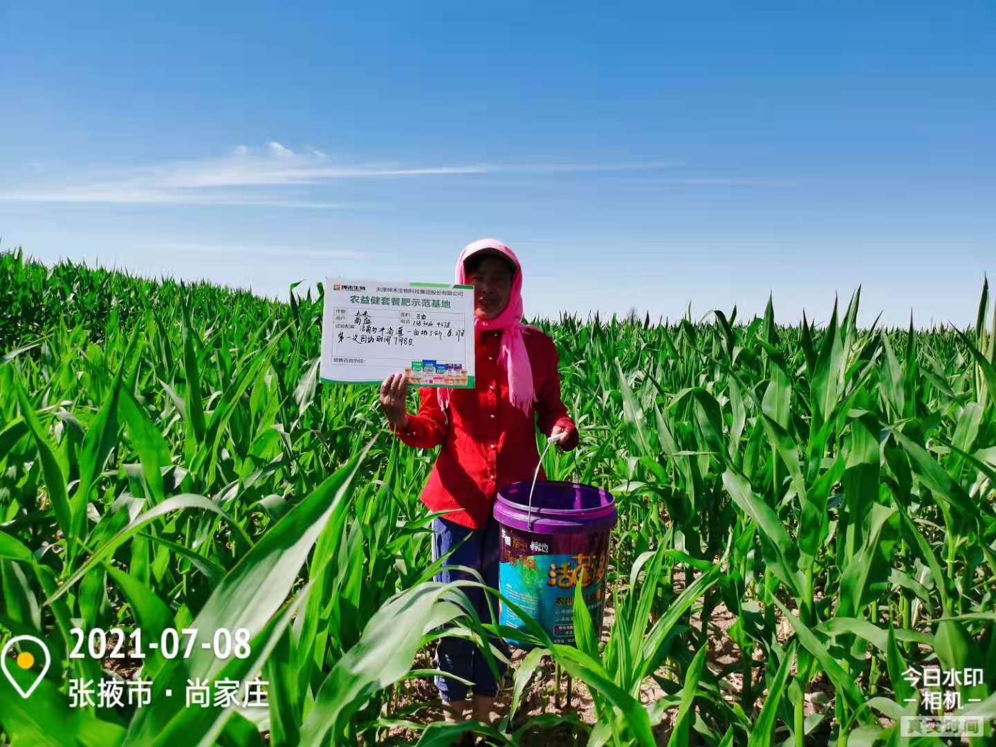 1627003587908406.jpg 玉米2.jpg