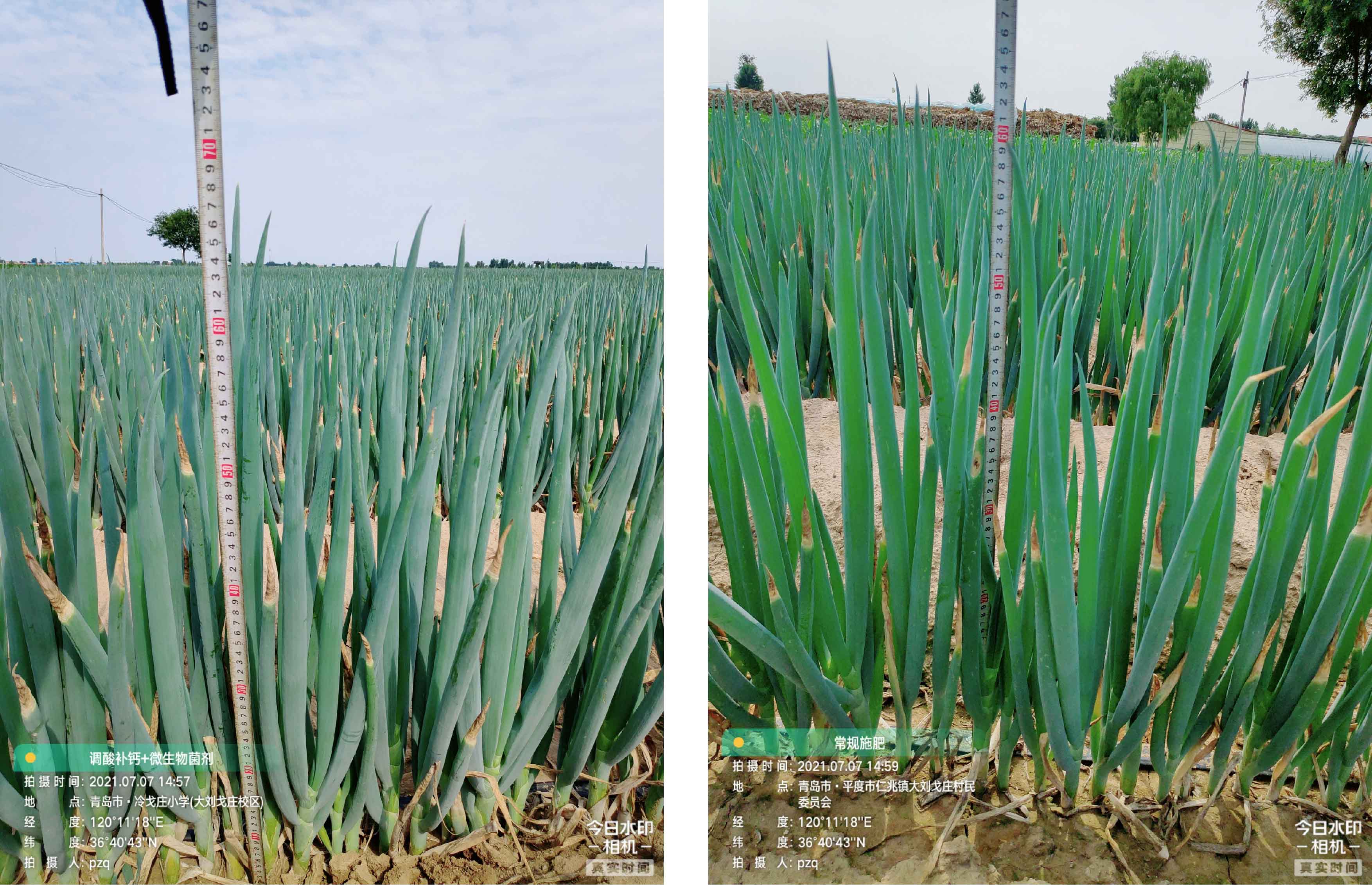 1628733484200227.jpg 4-01.jpg