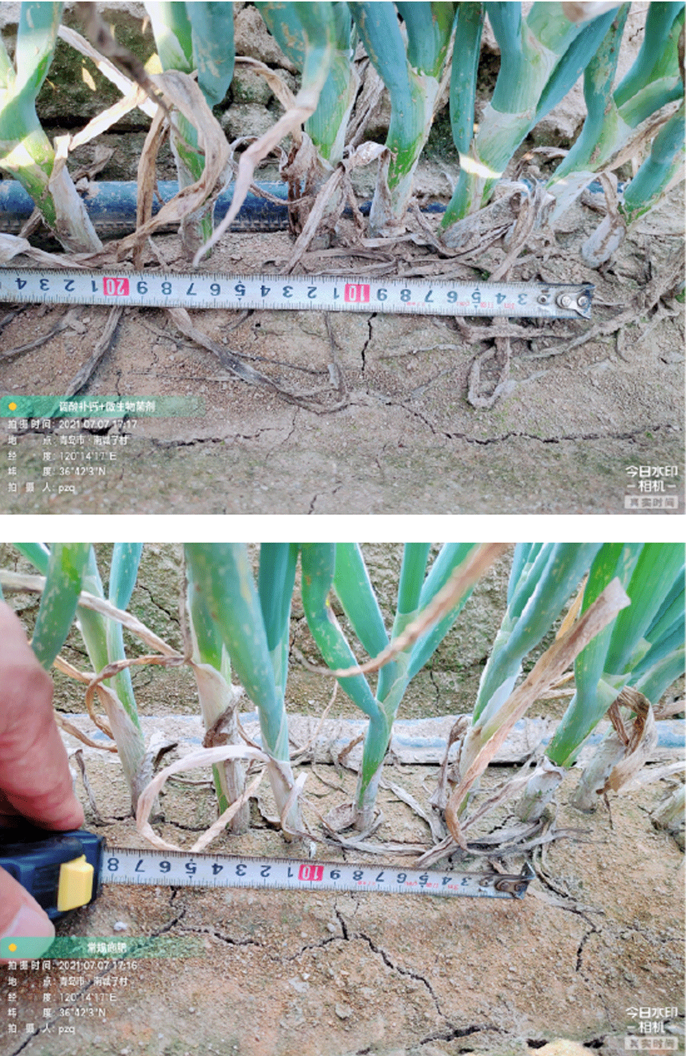 1628733852744114.png 13-01.png