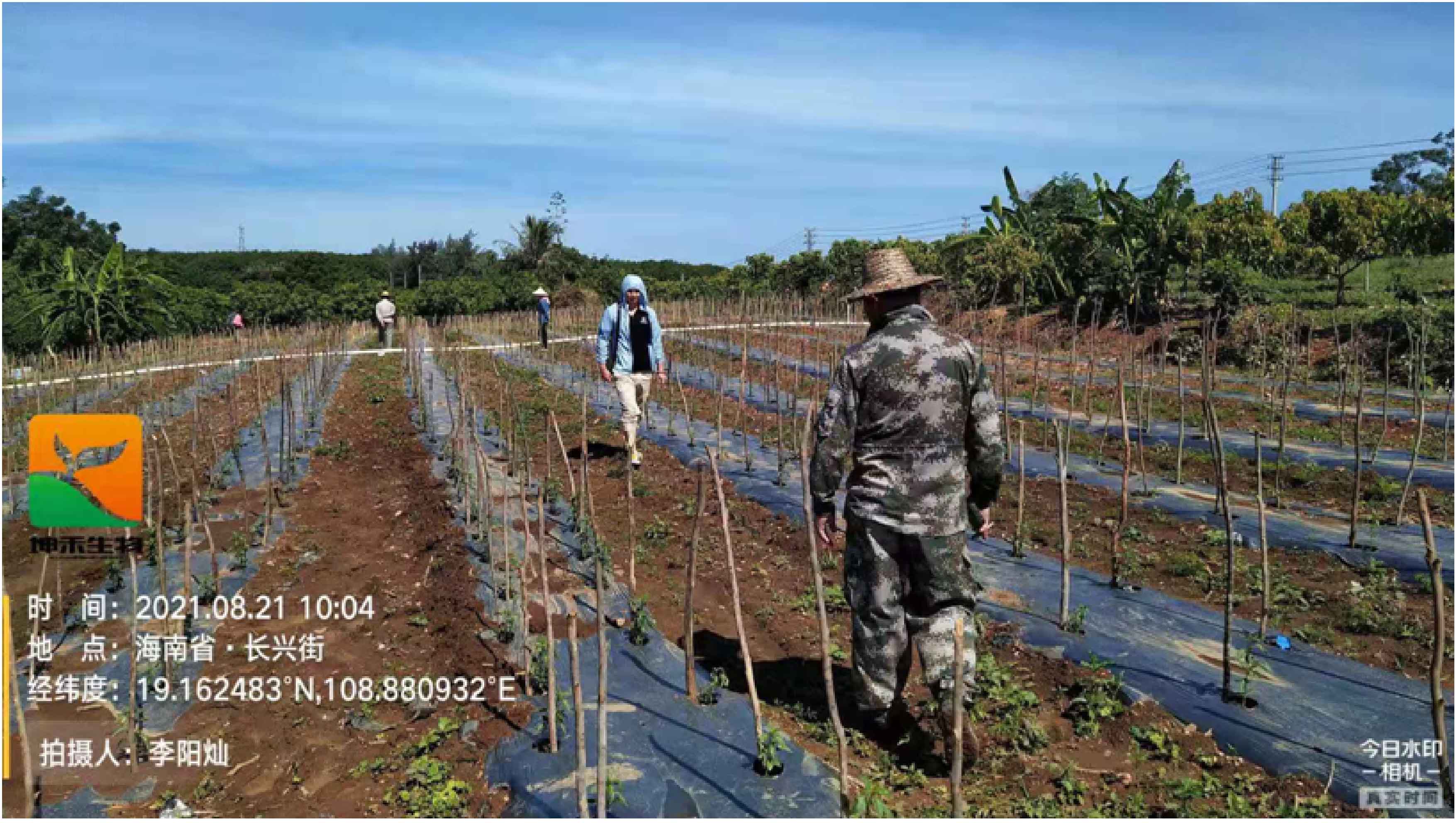 1630563391119041.jpg 13-01.jpg