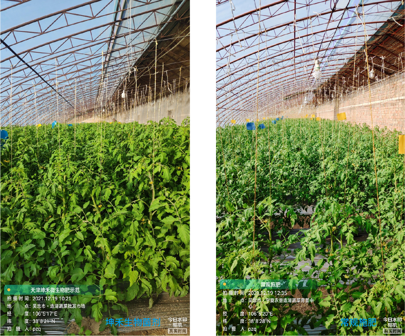 1652671160297042.jpg 2.jpg