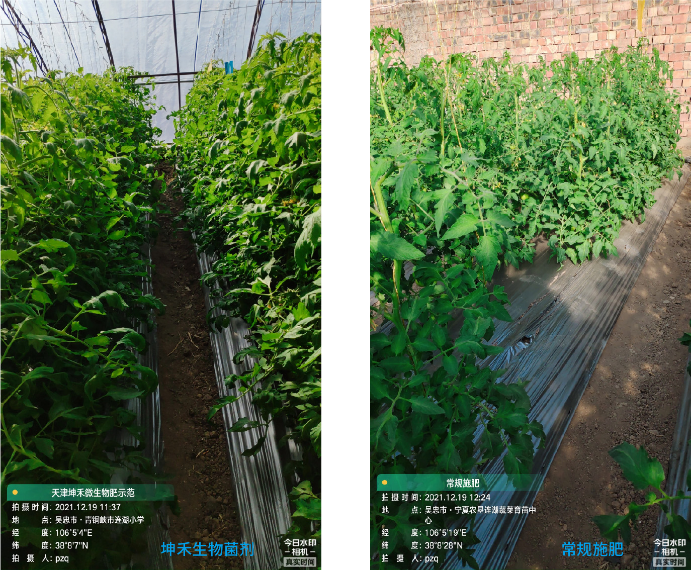 1652671208656841.jpg 5-01.jpg