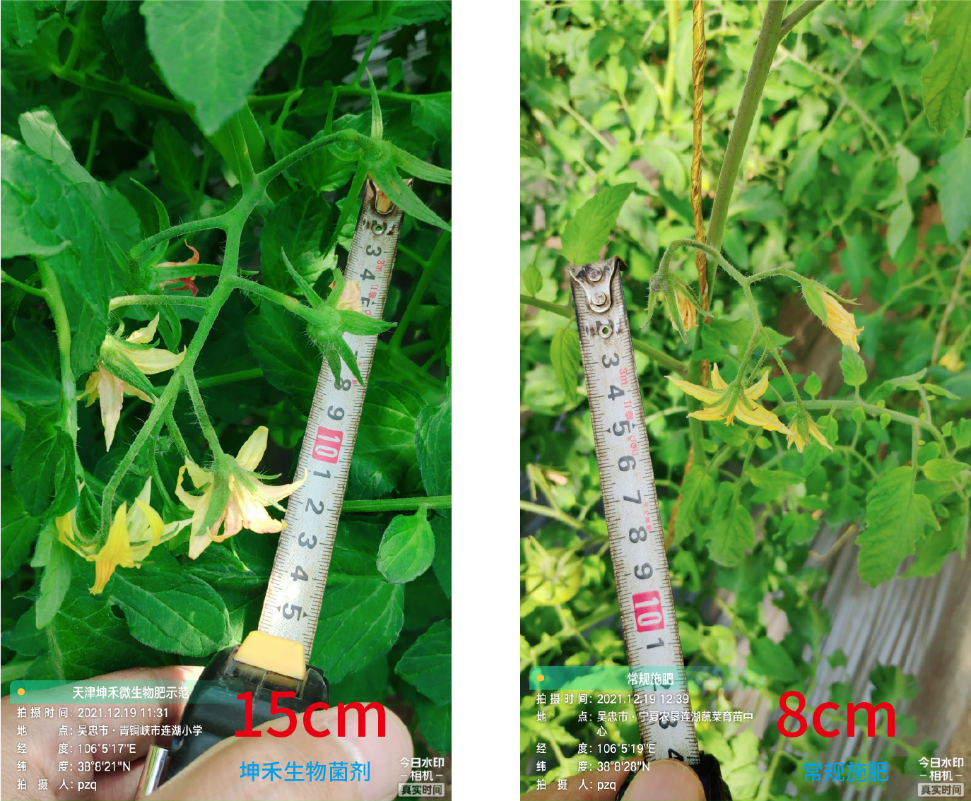 1652671314633152.jpg 12-01.jpg