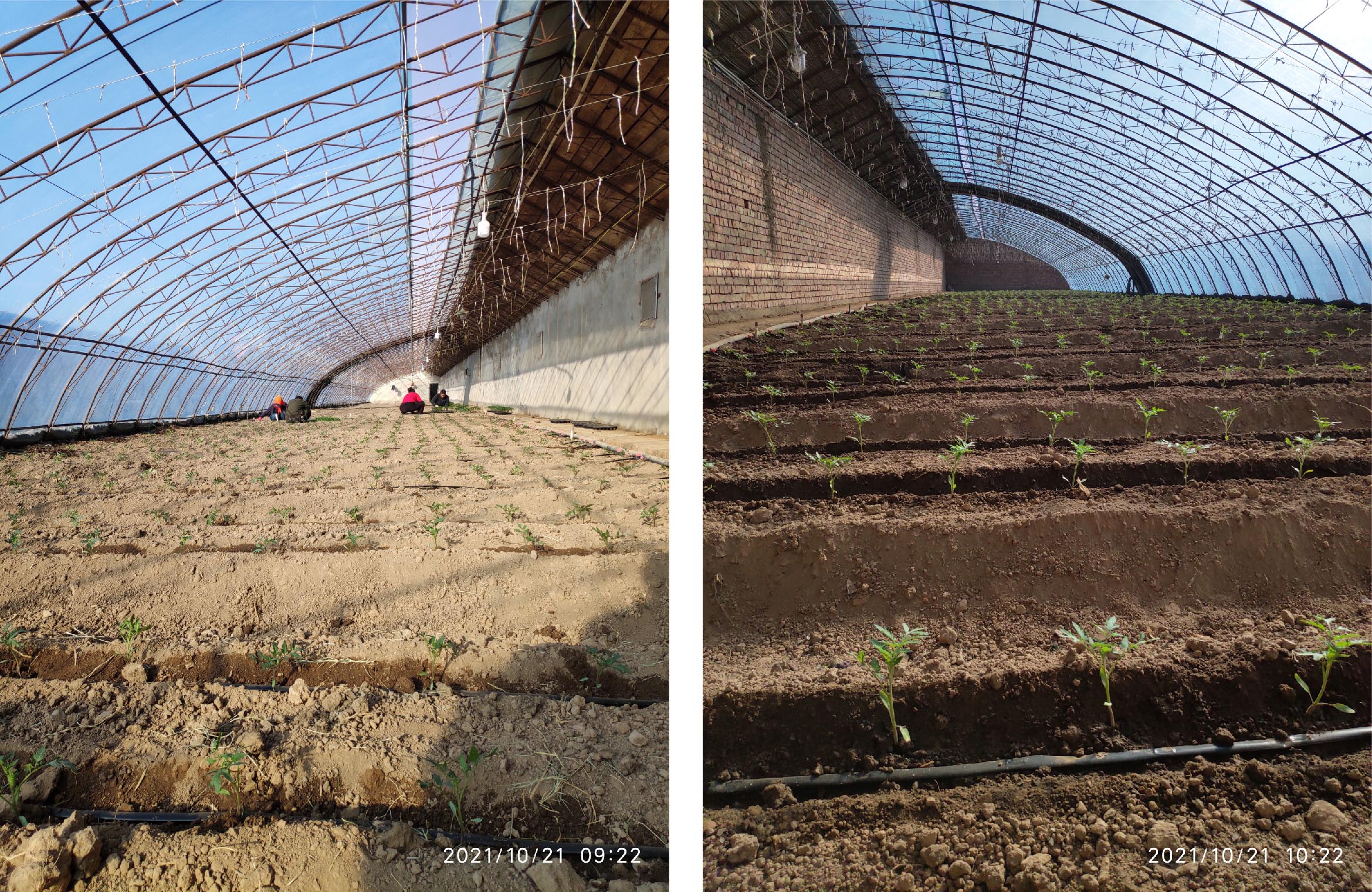 1652672153447194.jpg 1-01.jpg