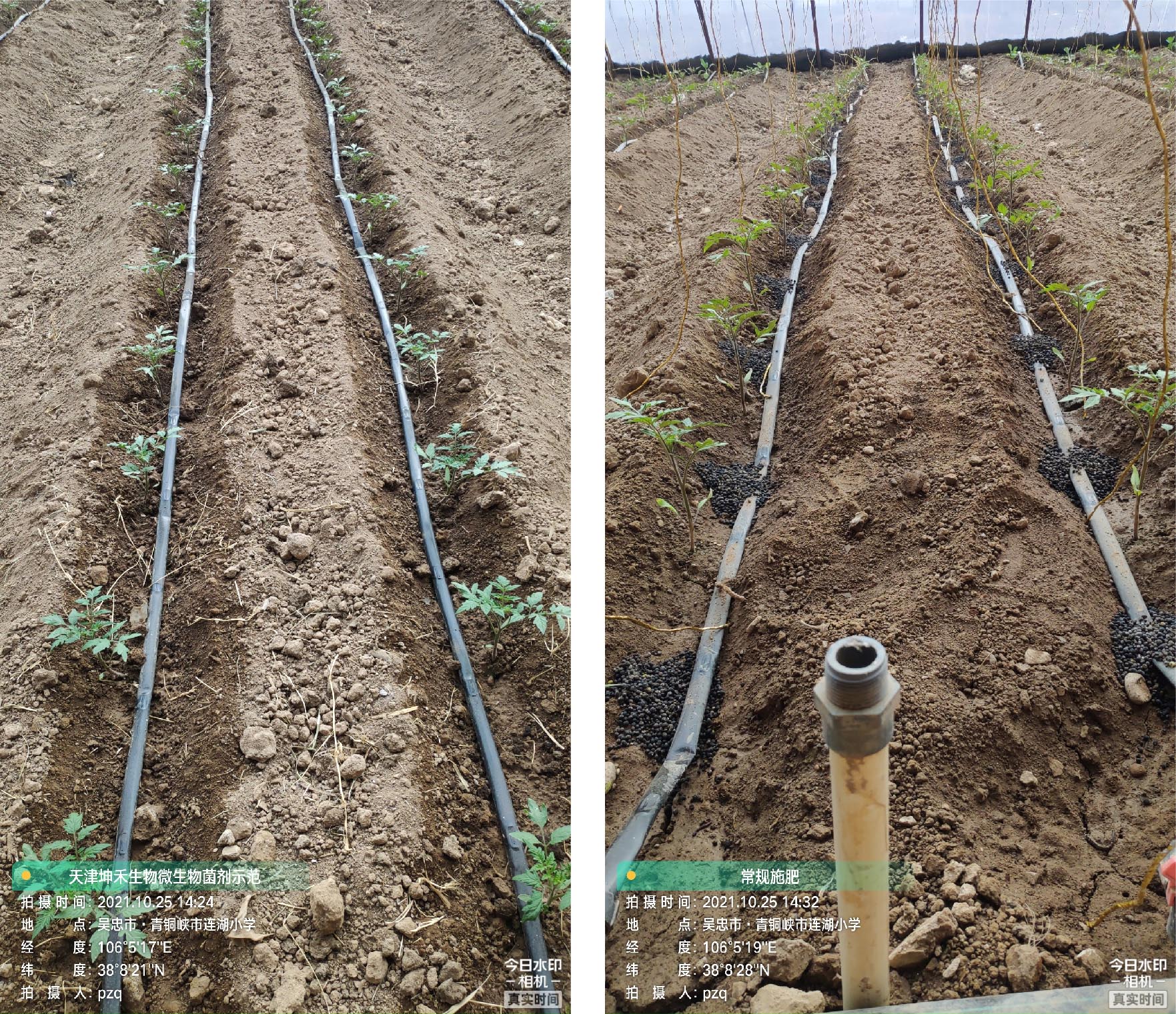 1652672170431371.jpg 2-01.jpg