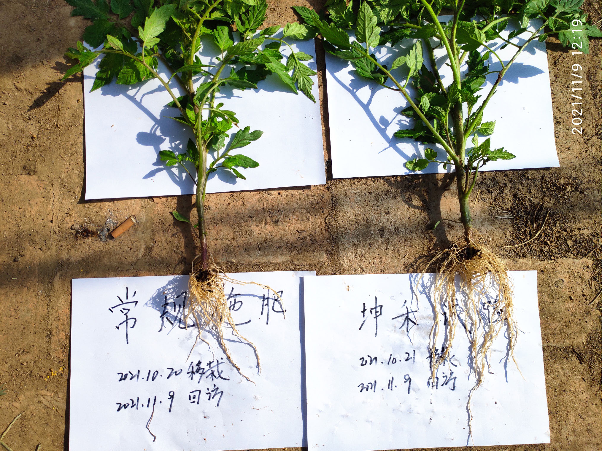 1652672322688509.jpg 13-01.jpg