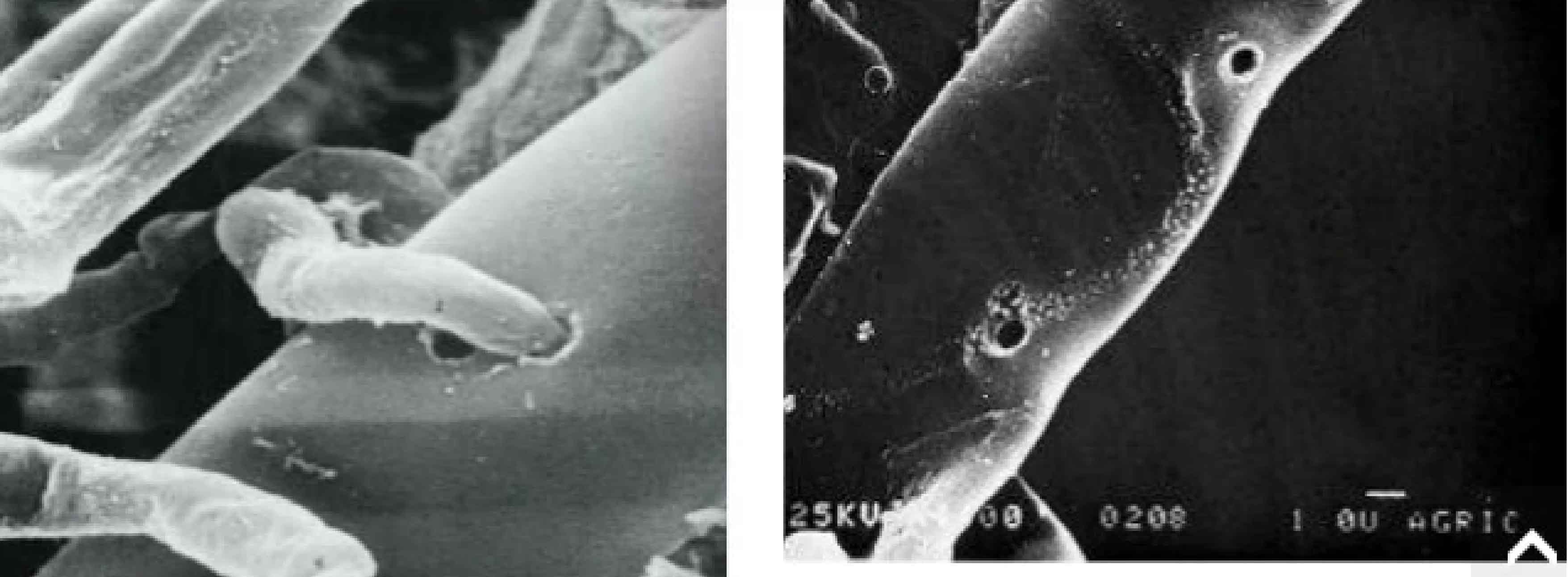 1664507188941717.jpg 2.2.2-01.jpg