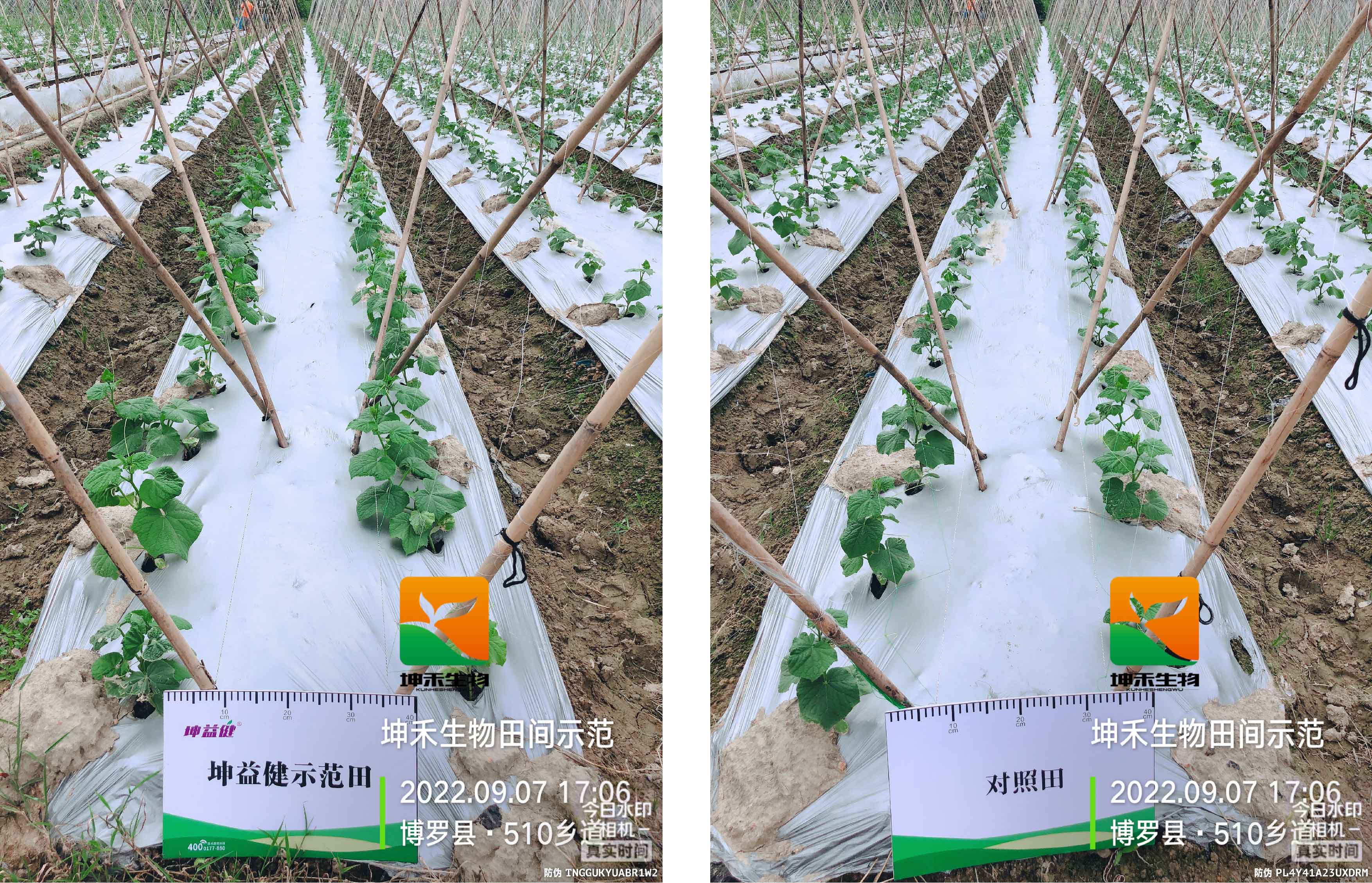 1664507657861192.jpg 1-01.jpg